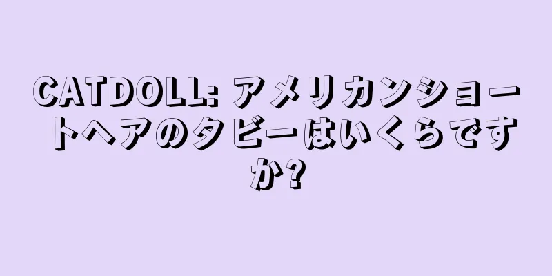 CATDOLL: アメリカンショートヘアのタビーはいくらですか?