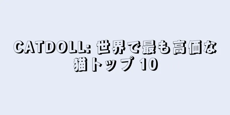 CATDOLL: 世界で最も高価な猫トップ 10