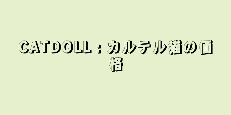 CATDOLL : カルテル猫の価格