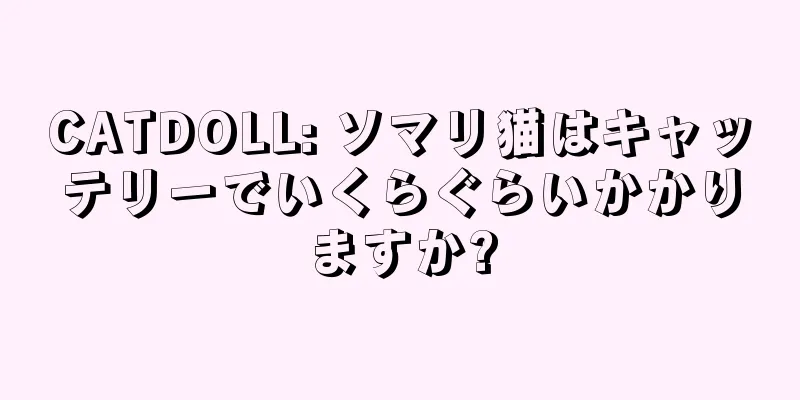 CATDOLL: ソマリ猫はキャッテリーでいくらぐらいかかりますか?