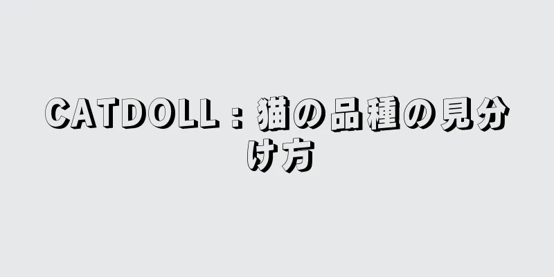 CATDOLL : 猫の品種の見分け方
