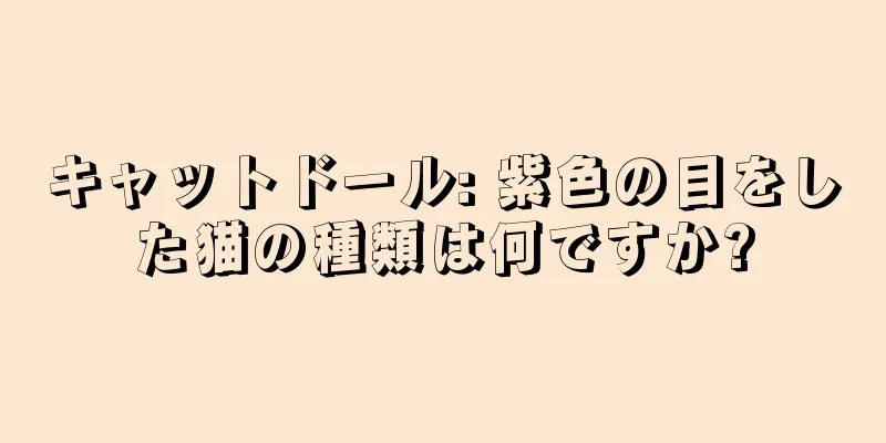 キャットドール: 紫色の目をした猫の種類は何ですか?