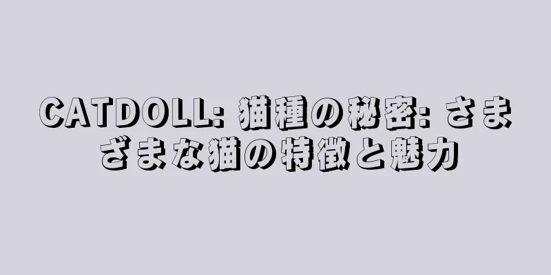 CATDOLL: 猫種の秘密: さまざまな猫の特徴と魅力