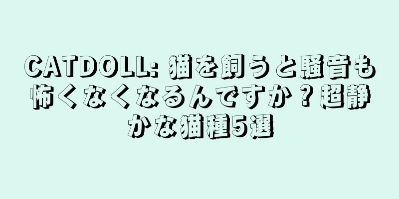 CATDOLL: 猫を飼うと騒音も怖くなくなるんですか？超静かな猫種5選