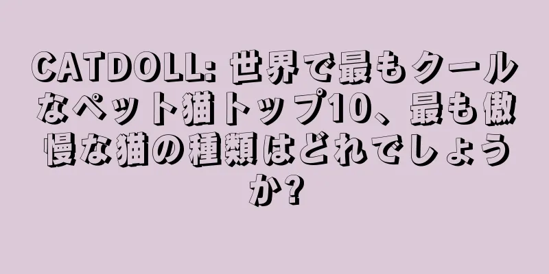 CATDOLL: 世界で最もクールなペット猫トップ10、最も傲慢な猫の種類はどれでしょうか?
