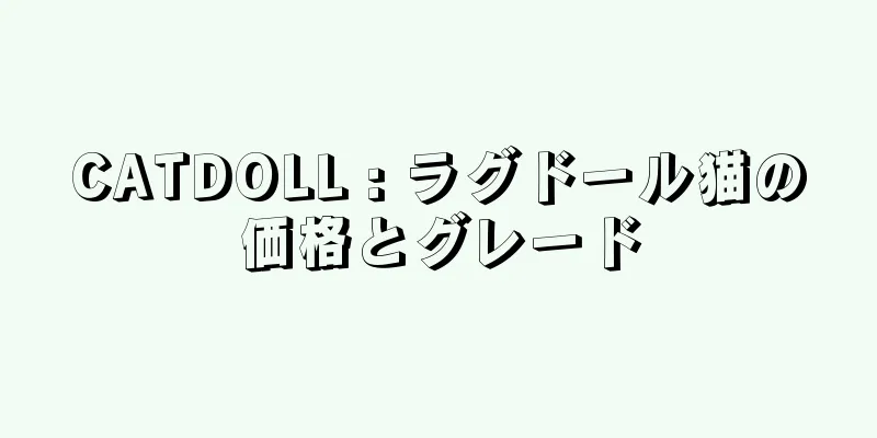 CATDOLL : ラグドール猫の価格とグレード