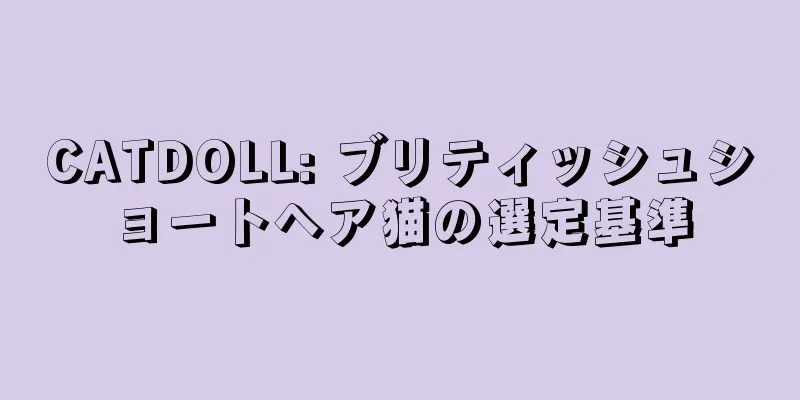 CATDOLL: ブリティッシュショートヘア猫の選定基準