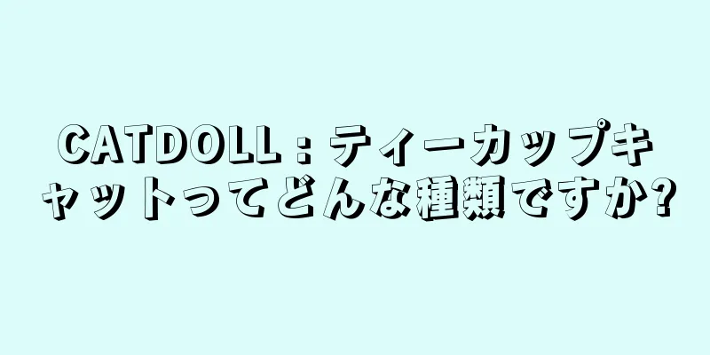CATDOLL : ティーカップキャットってどんな種類ですか?