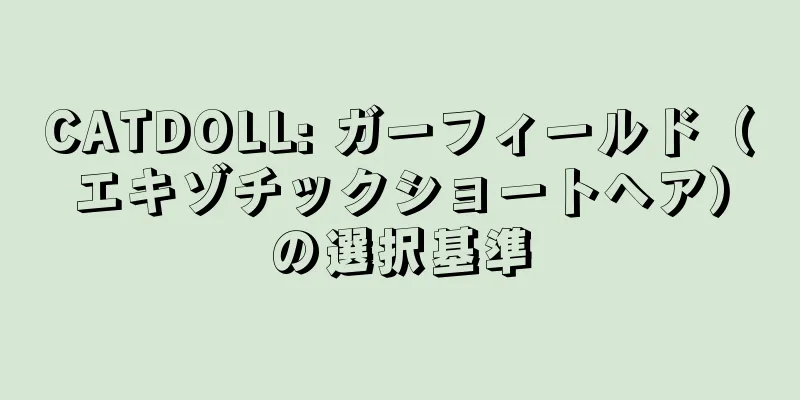 CATDOLL: ガーフィールド（エキゾチックショートヘア）の選択基準