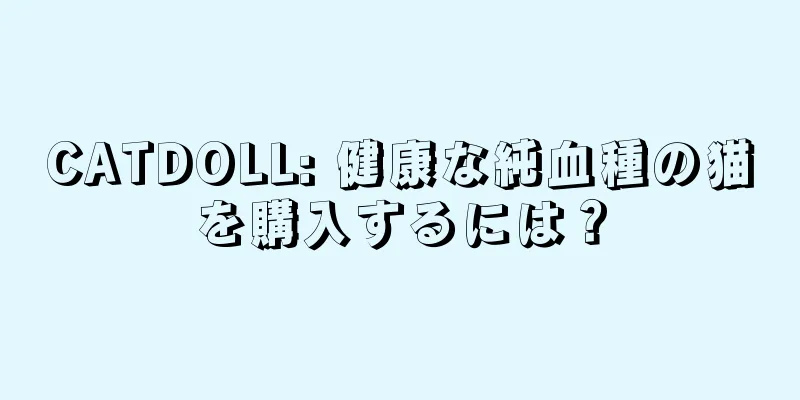 CATDOLL: 健康な純血種の猫を購入するには？