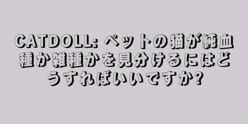 CATDOLL: ペットの猫が純血種か雑種かを見分けるにはどうすればいいですか?