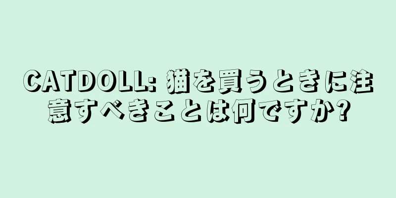 CATDOLL: 猫を買うときに注意すべきことは何ですか?