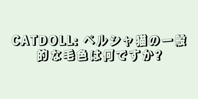 CATDOLL: ペルシャ猫の一般的な毛色は何ですか?