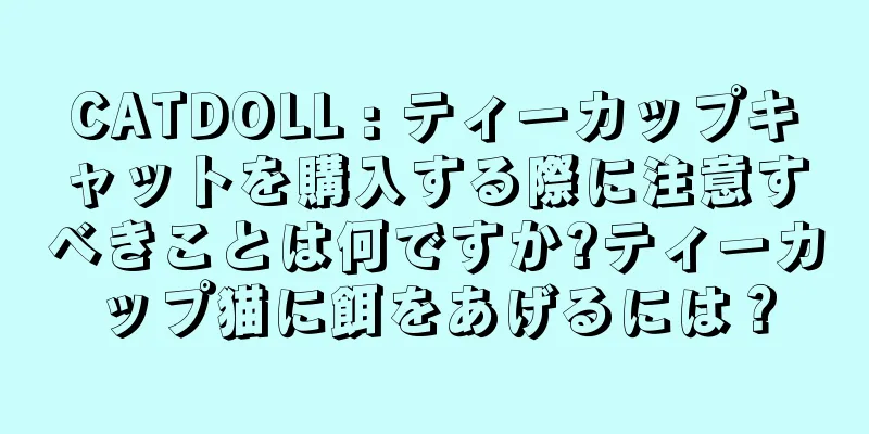 CATDOLL : ティーカップキャットを購入する際に注意すべきことは何ですか?ティーカップ猫に餌をあげるには？