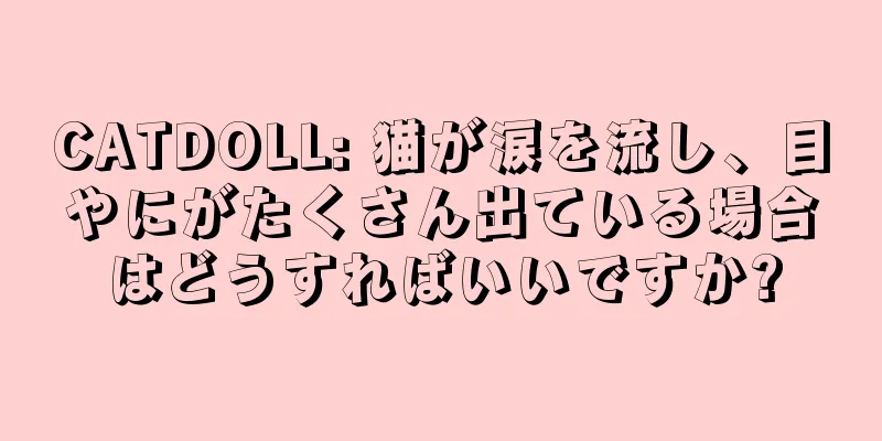 CATDOLL: 猫が涙を流し、目やにがたくさん出ている場合はどうすればいいですか?
