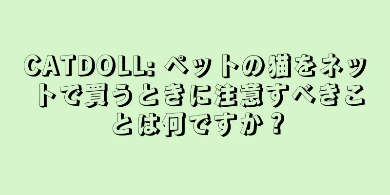 CATDOLL: ペットの猫をネットで買うときに注意すべきことは何ですか？