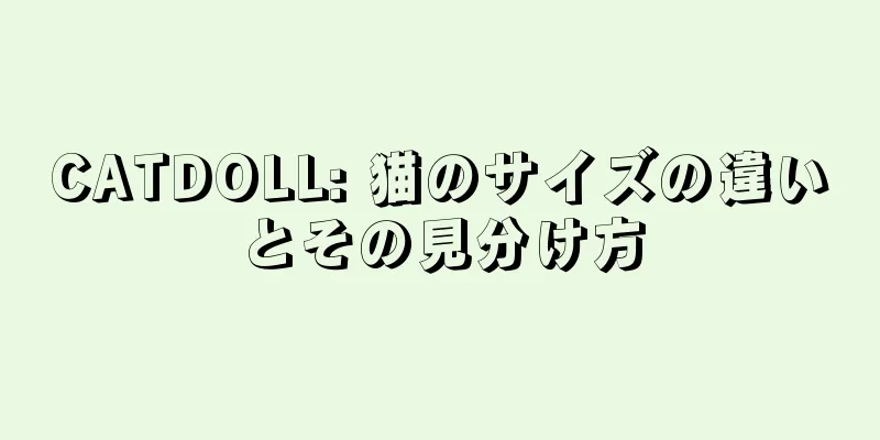 CATDOLL: 猫のサイズの違いとその見分け方