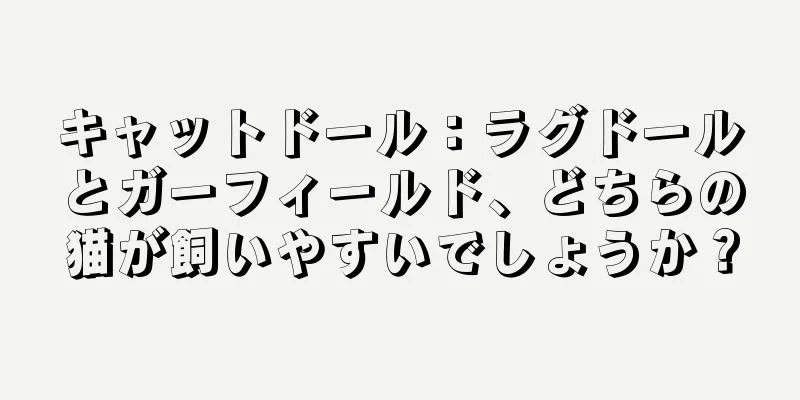 キャットドール：ラグドールとガーフィールド、どちらの猫が飼いやすいでしょうか？