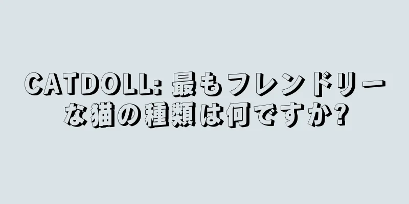 CATDOLL: 最もフレンドリーな猫の種類は何ですか?