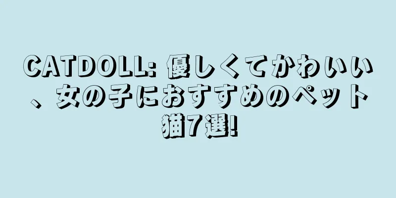 CATDOLL: 優しくてかわいい、女の子におすすめのペット猫7選!