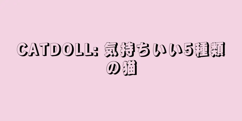 CATDOLL: 気持ちいい5種類の猫