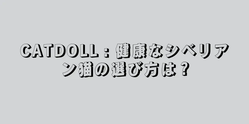 CATDOLL : 健康なシベリアン猫の選び方は？