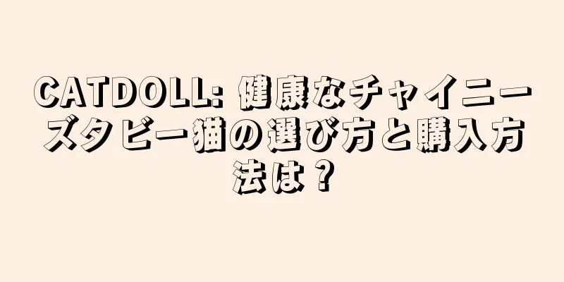 CATDOLL: 健康なチャイニーズタビー猫の選び方と購入方法は？