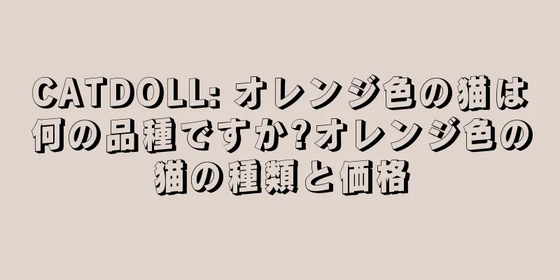 CATDOLL: オレンジ色の猫は何の品種ですか?オレンジ色の猫の種類と価格