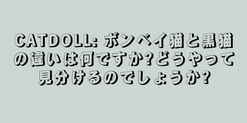 CATDOLL: ボンベイ猫と黒猫の違いは何ですか?どうやって見分けるのでしょうか?