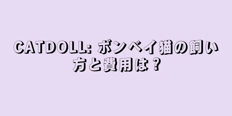 CATDOLL: ボンベイ猫の飼い方と費用は？