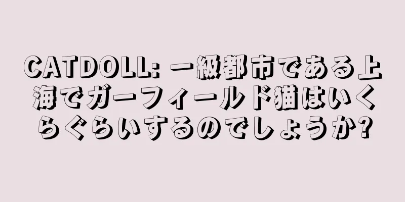 CATDOLL: 一級都市である上海でガーフィールド猫はいくらぐらいするのでしょうか?
