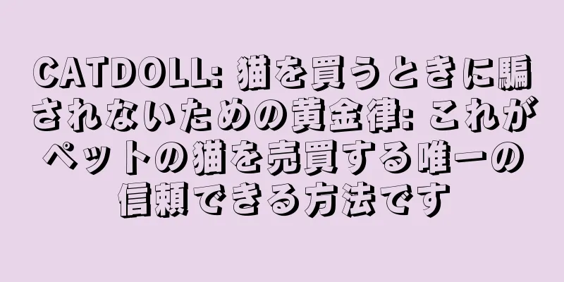 CATDOLL: 猫を買うときに騙されないための黄金律: これがペットの猫を売買する唯一の信頼できる方法です