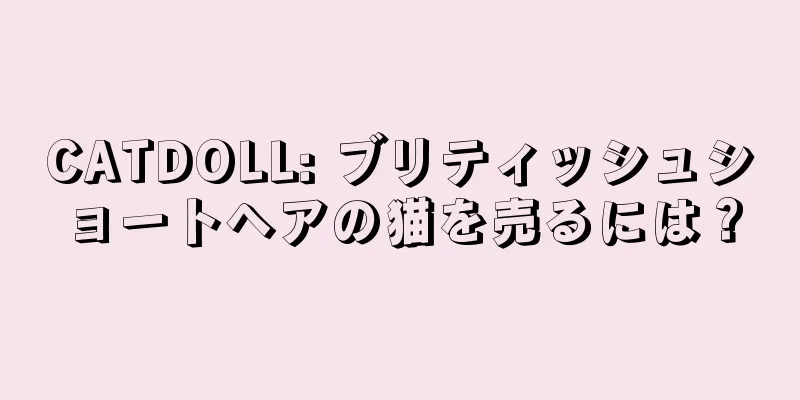 CATDOLL: ブリティッシュショートヘアの猫を売るには？