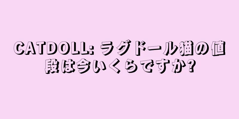 CATDOLL: ラグドール猫の値段は今いくらですか?