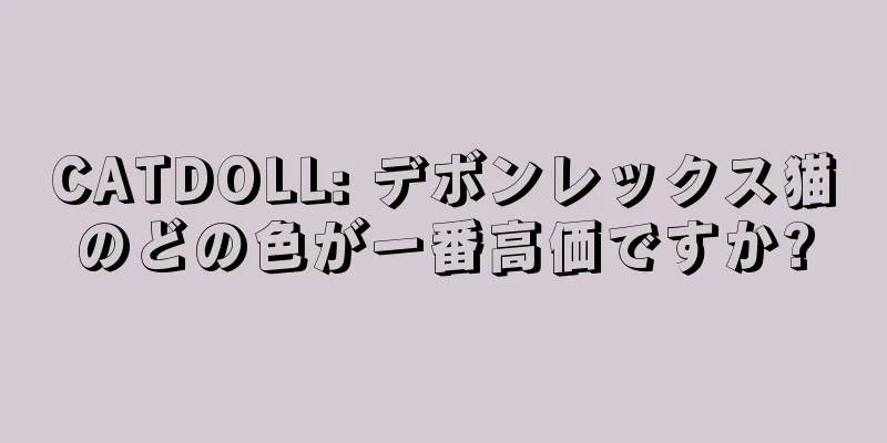 CATDOLL: デボンレックス猫のどの色が一番高価ですか?