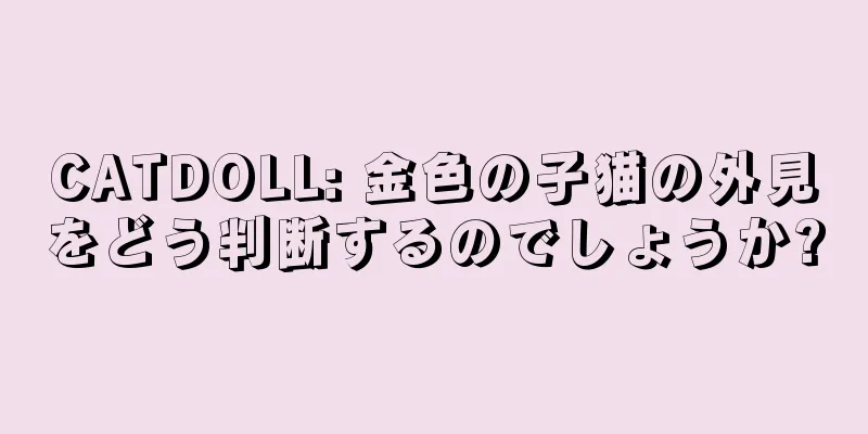 CATDOLL: 金色の子猫の外見をどう判断するのでしょうか?