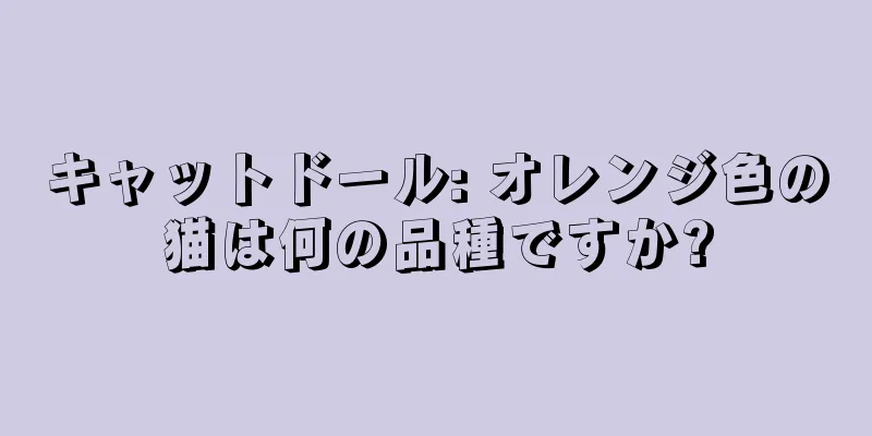 キャットドール: オレンジ色の猫は何の品種ですか?