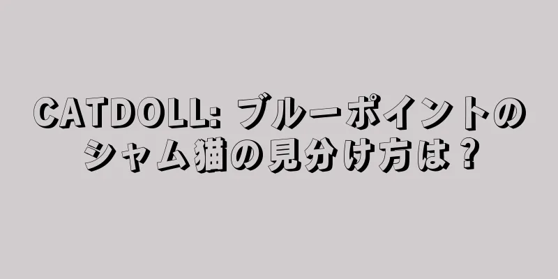 CATDOLL: ブルーポイントのシャム猫の見分け方は？