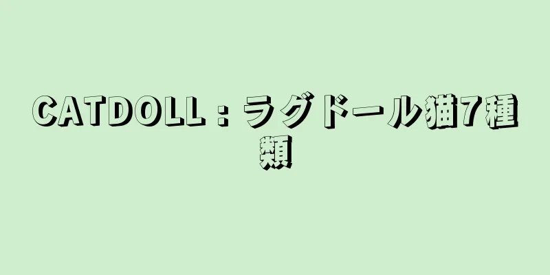 CATDOLL : ラグドール猫7種類