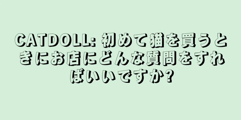 CATDOLL: 初めて猫を買うときにお店にどんな質問をすればいいですか?