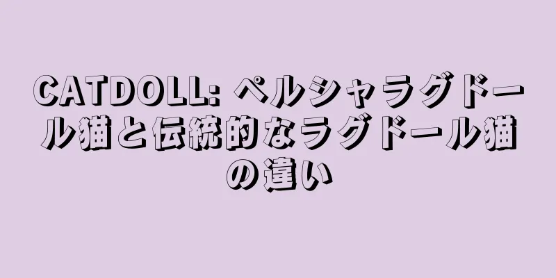 CATDOLL: ペルシャラグドール猫と伝統的なラグドール猫の違い