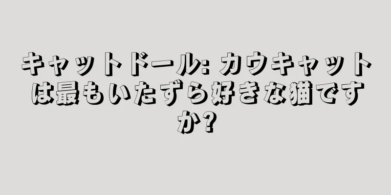 キャットドール: カウキャットは最もいたずら好きな猫ですか?