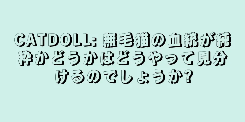 CATDOLL: 無毛猫の血統が純粋かどうかはどうやって見分けるのでしょうか?