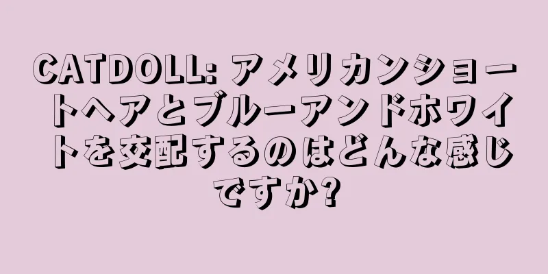 CATDOLL: アメリカンショートヘアとブルーアンドホワイトを交配するのはどんな感じですか?