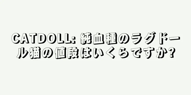 CATDOLL: 純血種のラグドール猫の値段はいくらですか?