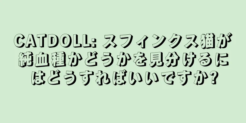 CATDOLL: スフィンクス猫が純血種かどうかを見分けるにはどうすればいいですか?