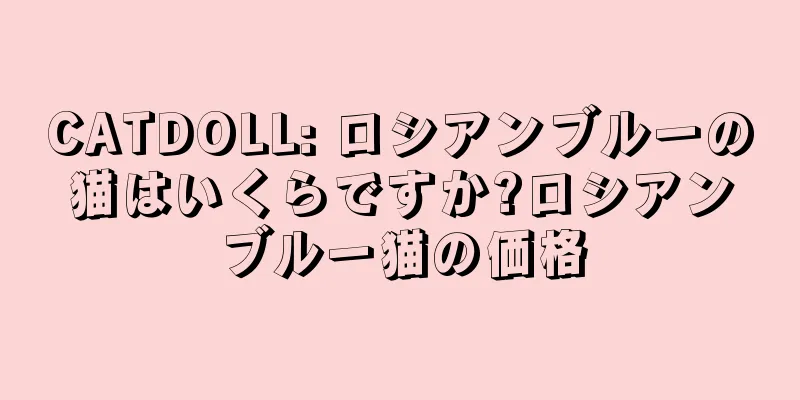 CATDOLL: ロシアンブルーの猫はいくらですか?ロシアンブルー猫の価格