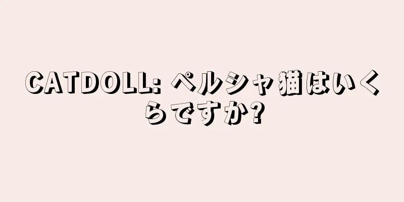 CATDOLL: ペルシャ猫はいくらですか?