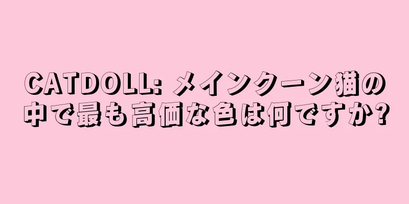 CATDOLL: メインクーン猫の中で最も高価な色は何ですか?