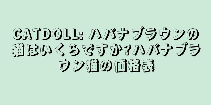 CATDOLL: ハバナブラウンの猫はいくらですか?ハバナブラウン猫の価格表
